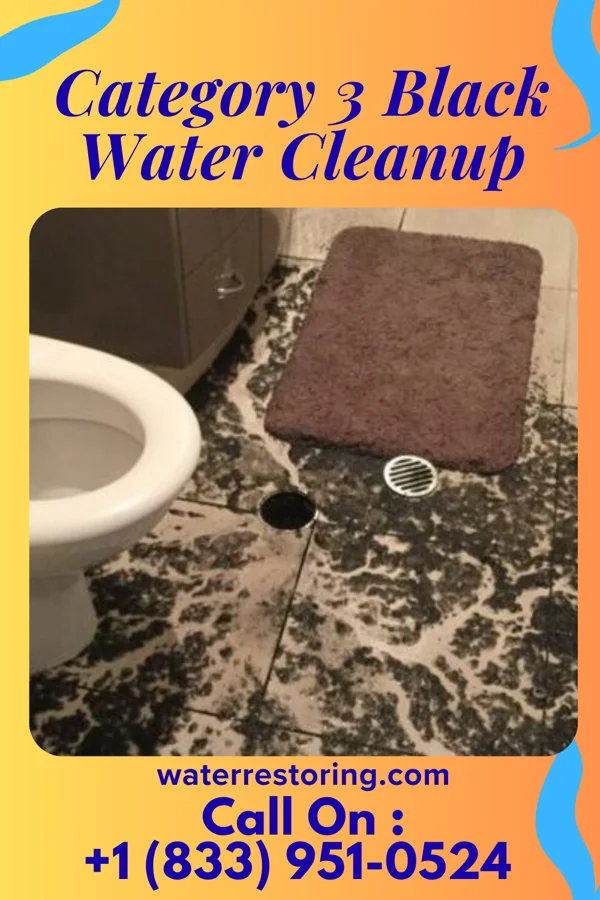 Category 3 Black Water Cleanup in Hyannis, NE