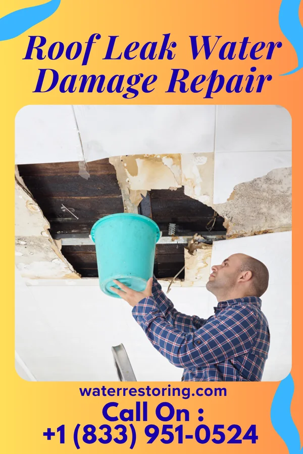Roof Leak Water Damage Repair in Hyannis, NE
