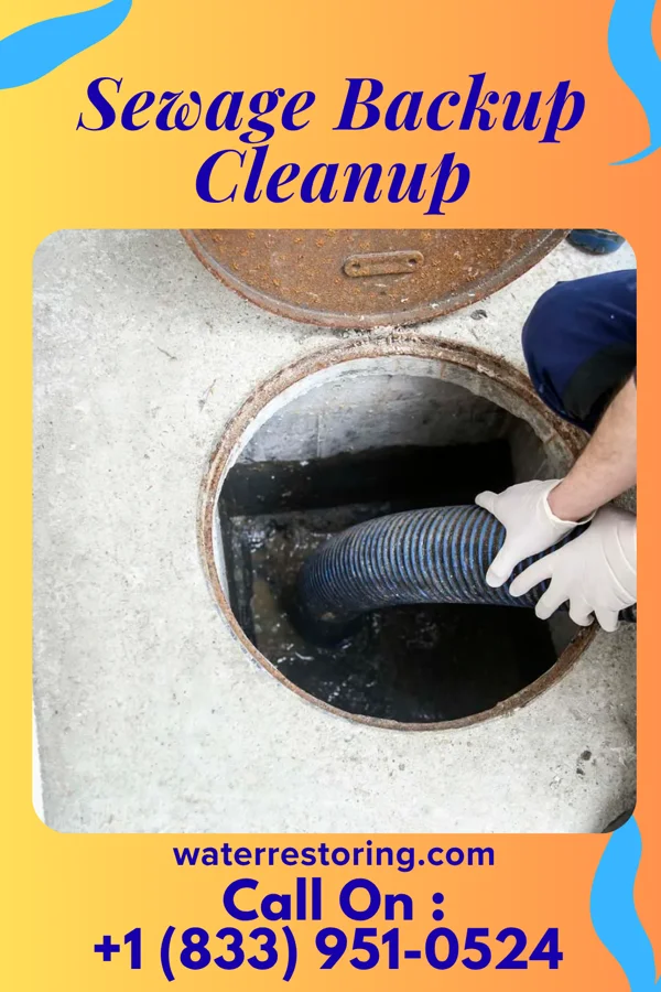 Sewage Backup Cleanup in Hyannis, NE